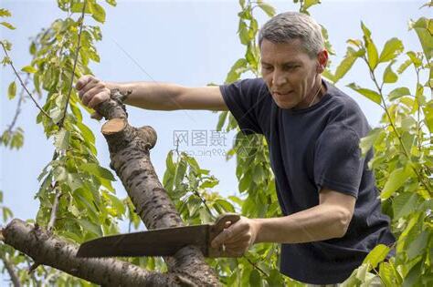 給你砍掉