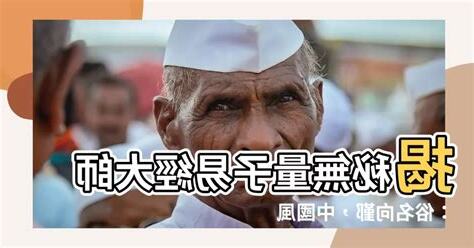 無量子