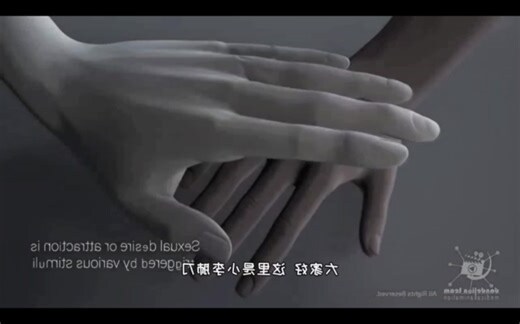 同穴