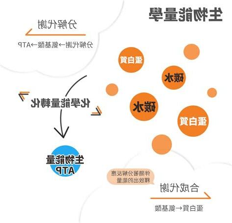 能量學