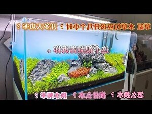 魚缸位置