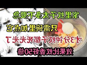 家裡蚊子多