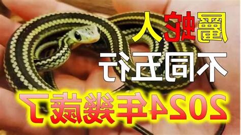 屬蛇今年的運勢