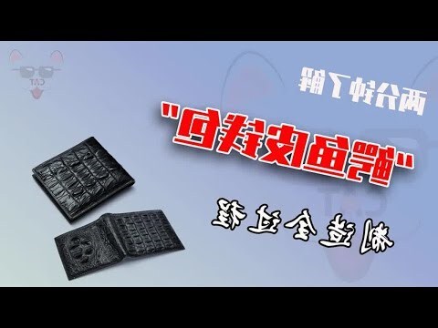 鱷魚皮錢包風水