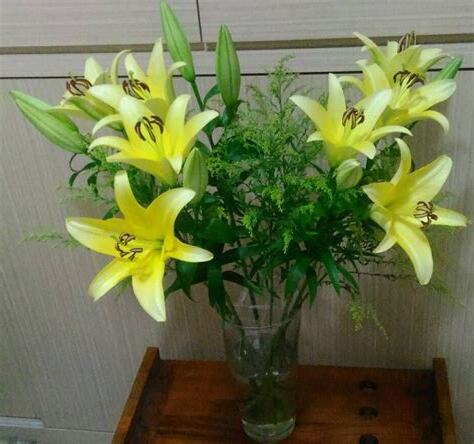 黃百合花語