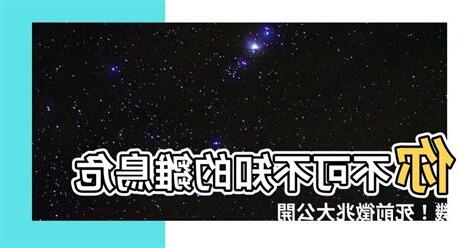 雛鳥死前的徵兆