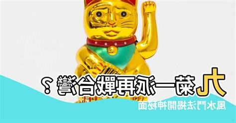 九菊一派台灣