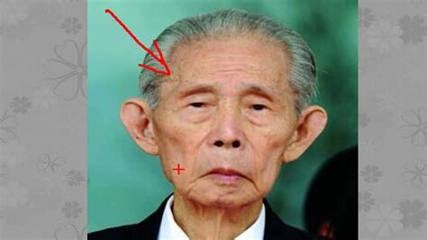 鼠耳面相