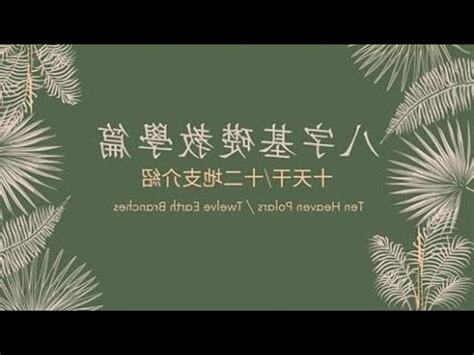 十二地址