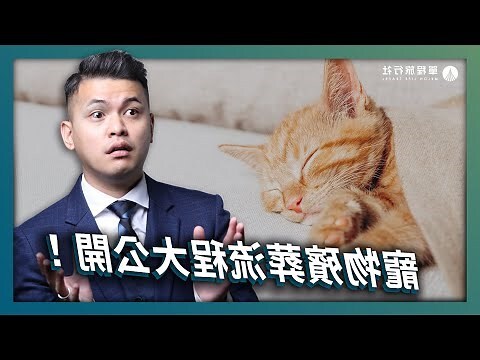 狗狗死掉怎麼辦