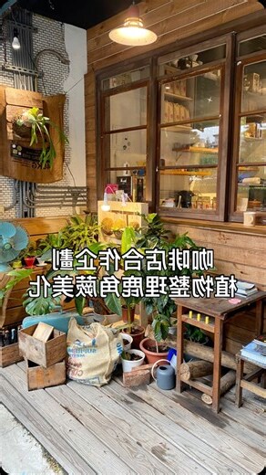 店面植物