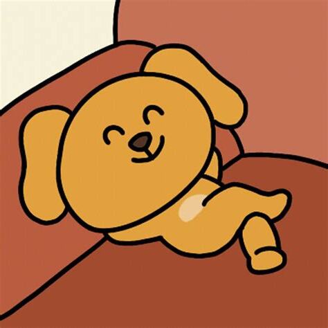 大笨狗之家