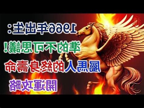 屬馬幾年次