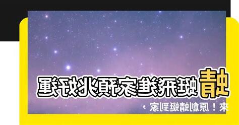 蜻蜓預兆