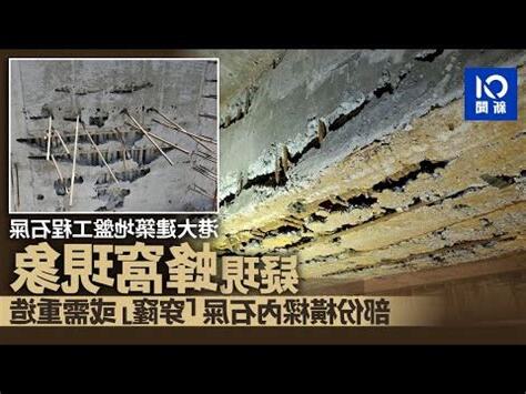 港大石屎