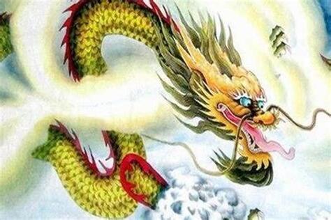 1976是什么龙