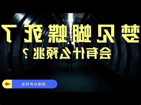 夢到蝴蝶停在臉上