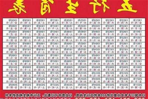 1991五行