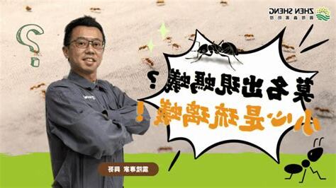 家裡莫名其妙有螞蟻