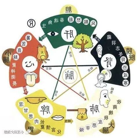 心肝脾肺腎情緒