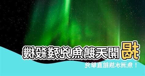 天鵝魚兇