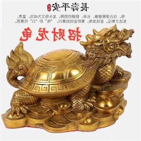 母子龍龜功效