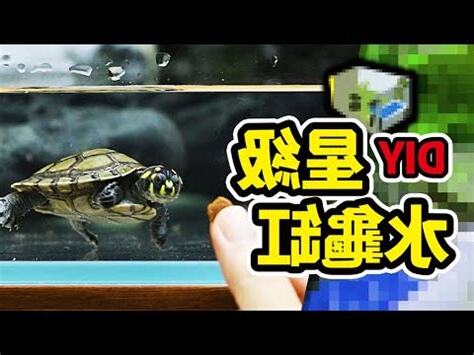 烏龜名字產生器