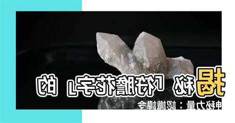 符膽花字