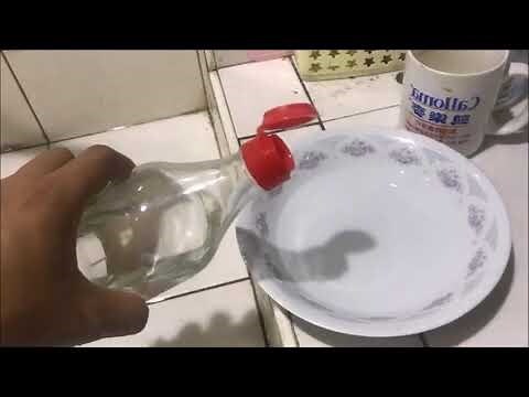 家裡有跳蚤漂白水
