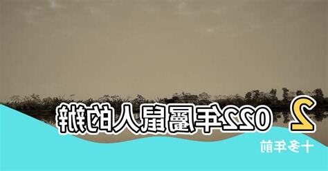 公司有老鼠風水