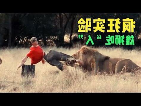 暗公獅是什麼