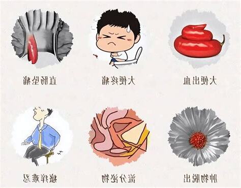 痔長毛