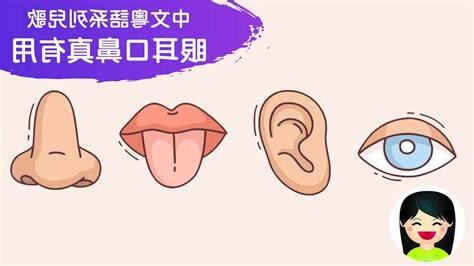 眼耳口鼻五官