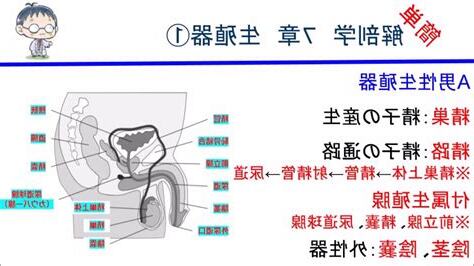 陰部生倉