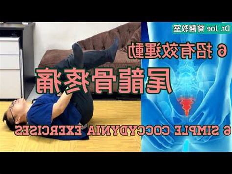 鄧親尾龍骨