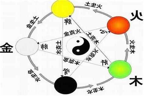 辛卯年五行