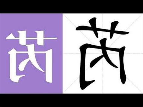 芮意思名字