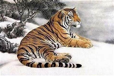 2010年是什麼虎