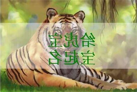 老虎名字