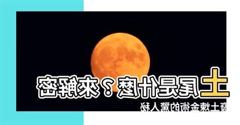 土尾意思