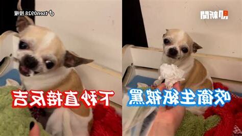 兇吉