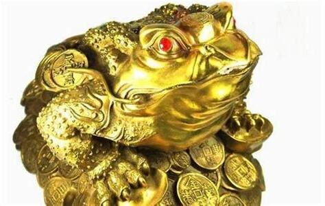 金蟾蜍擺放位置