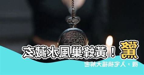 黃蜂巢風水