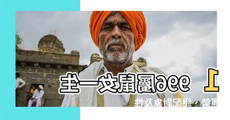 1996屬鼠