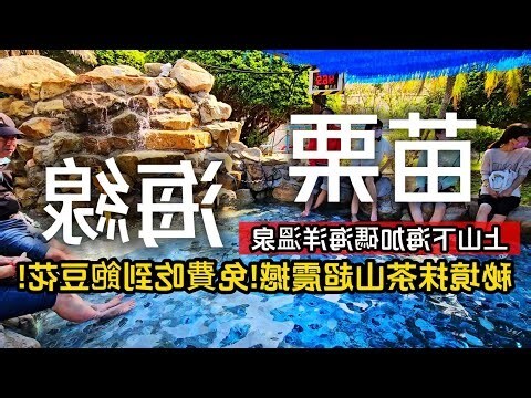 苗栗風水師推薦