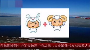 属兔的和什么属相最配