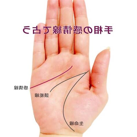 感情線