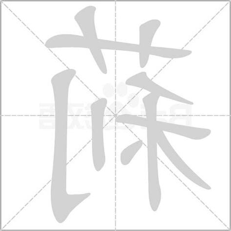 莉的五行