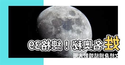 總格41女