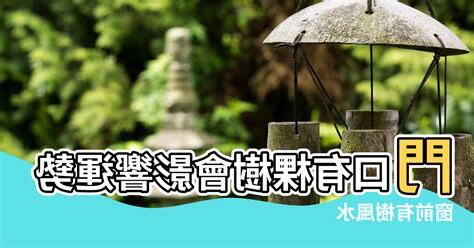 窗前有樹風水